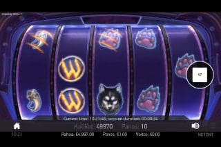 slot machine spinsane gioco online