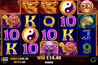 Slot 5 Lions con moltiplicatori di vincita enorme