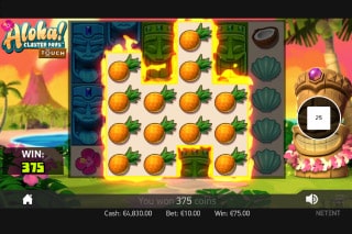 Aloha slot Cluster Pays Slot Stacked Win